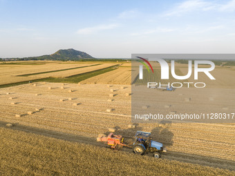 A harvest of wheat is being seen on a vast field in Lianyungang, China, on May 27, 2024. (