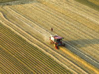 A harvest of wheat is being seen on a vast field in Lianyungang, China, on May 27, 2024. (