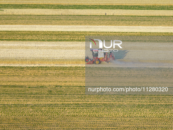 A harvest of wheat is being seen on a vast field in Lianyungang, China, on May 27, 2024. 