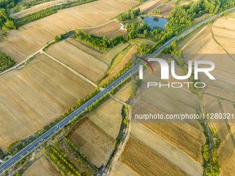 A harvest of wheat is being seen on a vast field in Lianyungang, China, on May 27, 2024. (