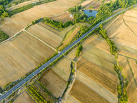 A harvest of wheat is being seen on a vast field in Lianyungang, China, on May 27, 2024. (