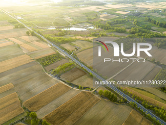 A harvest of wheat is being seen on a vast field in Lianyungang, China, on May 27, 2024. (