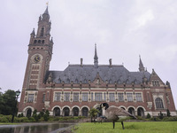 The birds are gathering on the lawn in front of the Peace Palace, where the International Court of Justice (ICJ) is located. The UN's top co...