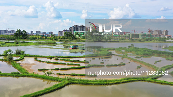 The Shuangguihu Lake National Wetland Park is being seen under the blue sky and white clouds in Chongqing, China, on May 27, 2024. Recently,...