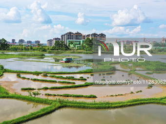 The Shuangguihu Lake National Wetland Park is being seen under the blue sky and white clouds in Chongqing, China, on May 27, 2024. Recently,...