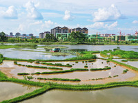 The Shuangguihu Lake National Wetland Park is being seen under the blue sky and white clouds in Chongqing, China, on May 27, 2024. Recently,...