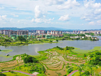 The Shuangguihu Lake National Wetland Park is being seen under the blue sky and white clouds in Chongqing, China, on May 27, 2024. Recently,...