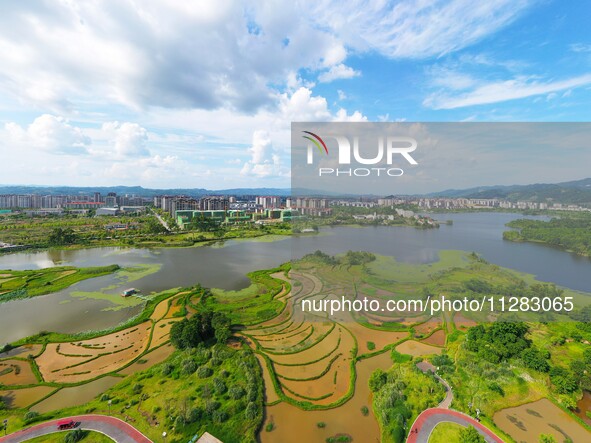 The Shuangguihu Lake National Wetland Park is being seen under the blue sky and white clouds in Chongqing, China, on May 27, 2024. Recently,...