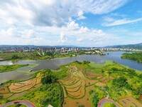 The Shuangguihu Lake National Wetland Park is being seen under the blue sky and white clouds in Chongqing, China, on May 27, 2024. Recently,...