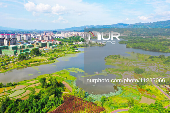 The Shuangguihu Lake National Wetland Park is being seen under the blue sky and white clouds in Chongqing, China, on May 27, 2024. Recently,...