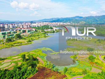 The Shuangguihu Lake National Wetland Park is being seen under the blue sky and white clouds in Chongqing, China, on May 27, 2024. Recently,...