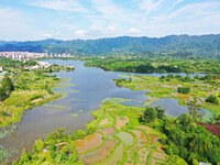 The Shuangguihu Lake National Wetland Park is being seen under the blue sky and white clouds in Chongqing, China, on May 27, 2024. Recently,...