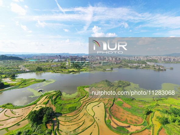 The Shuangguihu Lake National Wetland Park is being seen under the blue sky and white clouds in Chongqing, China, on May 27, 2024. Recently,...