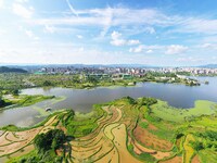 The Shuangguihu Lake National Wetland Park is being seen under the blue sky and white clouds in Chongqing, China, on May 27, 2024. Recently,...