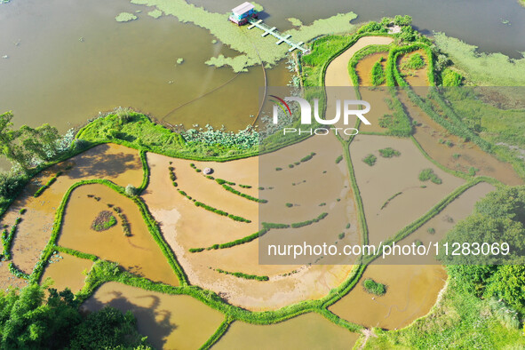 The Shuangguihu Lake National Wetland Park is being seen under the blue sky and white clouds in Chongqing, China, on May 27, 2024. Recently,...