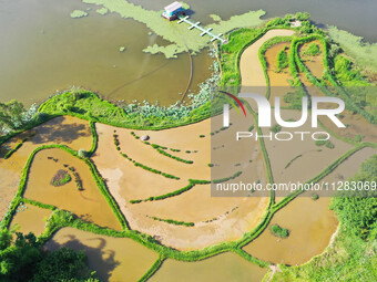 The Shuangguihu Lake National Wetland Park is being seen under the blue sky and white clouds in Chongqing, China, on May 27, 2024. Recently,...