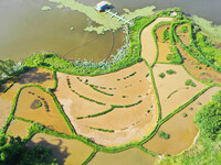 The Shuangguihu Lake National Wetland Park is being seen under the blue sky and white clouds in Chongqing, China, on May 27, 2024. Recently,...