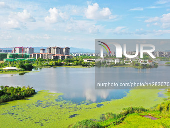 The Shuangguihu Lake National Wetland Park is being seen under the blue sky and white clouds in Chongqing, China, on May 27, 2024. Recently,...