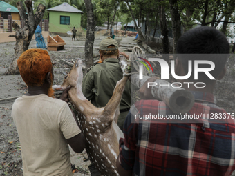 An injured pregnant deer is being transported by forest department officials as it is floated at the western outskirts of Sunderban amidst C...