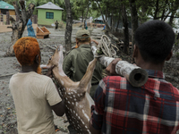 An injured pregnant deer is being transported by forest department officials as it is floated at the western outskirts of Sunderban amidst C...