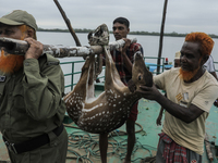 An injured pregnant deer is being transported by forest department officials as it is floated at the western outskirts of Sunderban amidst C...