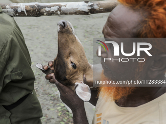 An injured pregnant deer is being transported by forest department officials as it is floated at the western outskirts of Sunderban amidst C...