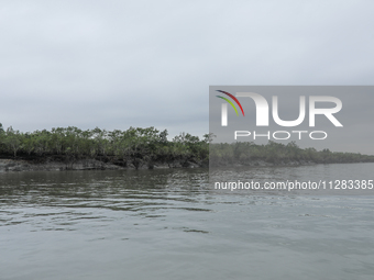 A view of wrecked Sundarban trees is showing as Cyclone Remal is landing in Satkhira, Bangladesh, on May 28, 2024. (