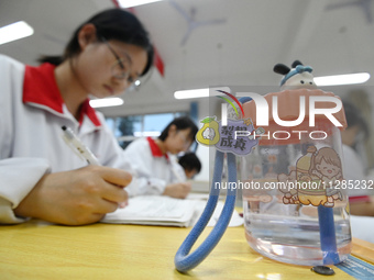 Senior three students, who are about to take the National College entrance examination, are studying by themselves at night at Fengfeng No 1...