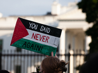 A demonstrator displays a sign that says ''Never Again'' in front of the White House during a protest against Israeli attacks on civilians i...