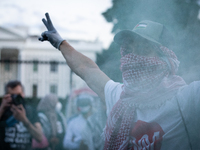 A demonstrator stands in front of a green smoke canister in front of the White House during a protest against the Israeli attacks on civilia...