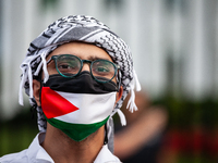 A demonstrator in a keffiyeh and Palestinian flag participates in a protest at the White House against the Israeli attacks on civilians in R...