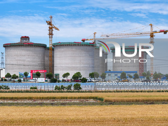 Workers are working at the construction site of a grain storage project of the Yandu branch of the Central Grain Reserve Yancheng Direct War...