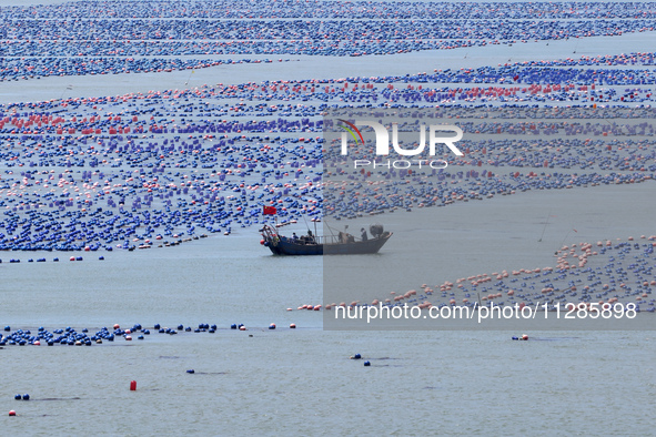 Fishermen are driving a breeding boat to carry out ecological farming work on the sea surface at a Marine ranch in Dinghai Bay in Fuzhou, Fu...