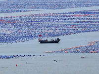 Fishermen are driving a breeding boat to carry out ecological farming work on the sea surface at a Marine ranch in Dinghai Bay in Fuzhou, Fu...