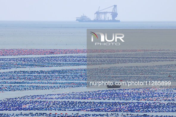 Fishermen are driving a breeding boat to carry out ecological farming work on the sea surface at a Marine ranch in Dinghai Bay in Fuzhou, Fu...