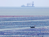 Fishermen are driving a breeding boat to carry out ecological farming work on the sea surface at a Marine ranch in Dinghai Bay in Fuzhou, Fu...