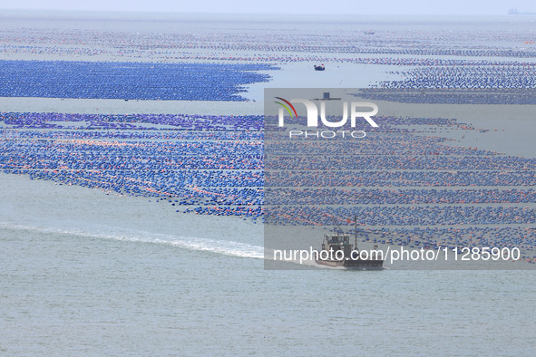 Fishermen are driving a breeding boat to carry out ecological farming work on the sea surface at a Marine ranch in Dinghai Bay in Fuzhou, Fu...