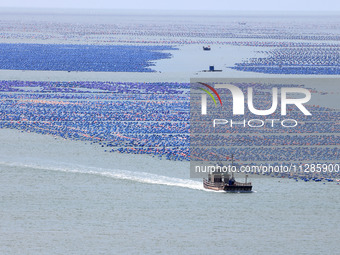 Fishermen are driving a breeding boat to carry out ecological farming work on the sea surface at a Marine ranch in Dinghai Bay in Fuzhou, Fu...