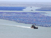 Fishermen are driving a breeding boat to carry out ecological farming work on the sea surface at a Marine ranch in Dinghai Bay in Fuzhou, Fu...