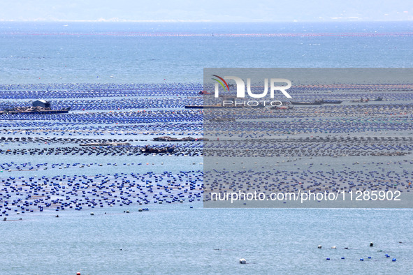 Fishermen are driving a breeding boat to carry out ecological farming work on the sea surface at a Marine ranch in Dinghai Bay in Fuzhou, Fu...