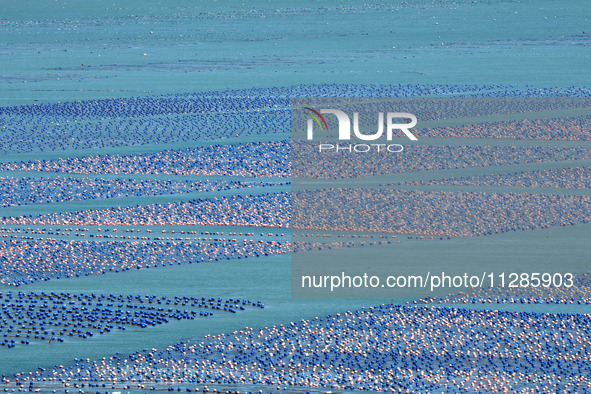 Fishermen are driving a breeding boat to carry out ecological farming work on the sea surface at a Marine ranch in Dinghai Bay in Fuzhou, Fu...