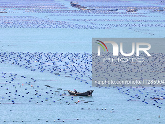 Fishermen are driving a breeding boat to carry out ecological farming work on the sea surface at a Marine ranch in Dinghai Bay in Fuzhou, Fu...