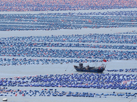 Fishermen are driving a breeding boat to carry out ecological farming work on the sea surface at a Marine ranch in Dinghai Bay in Fuzhou, Fu...