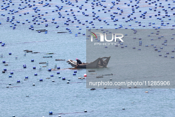 Fishermen are driving a breeding boat to carry out ecological farming work on the sea surface at a Marine ranch in Dinghai Bay in Fuzhou, Fu...