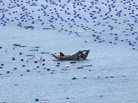 Fishermen are driving a breeding boat to carry out ecological farming work on the sea surface at a Marine ranch in Dinghai Bay in Fuzhou, Fu...