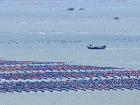 Fishermen are driving a breeding boat to carry out ecological farming work on the sea surface at a Marine ranch in Dinghai Bay in Fuzhou, Fu...