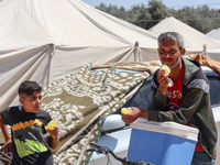 A vendor is selling ice cream at a camp for displaced Palestinians in Deir el-Balah in the central Gaza Strip on May 29, 2024, amid the ongo...