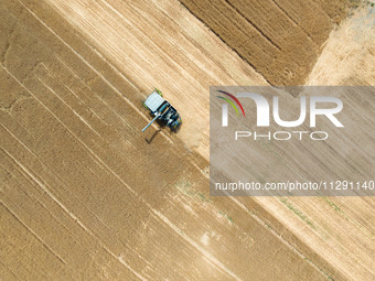 A farmer is driving a harvester to harvest wheat at Yellow River Beach district in Jinan, China, on May 31, 2024. (