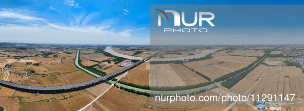 A wheat harvest is happening on both sides of the Yellow River in the Yellow River beach area of Jinan, China, on May 31, 2024. 