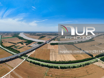 A wheat harvest is happening on both sides of the Yellow River in the Yellow River beach area of Jinan, China, on May 31, 2024. (